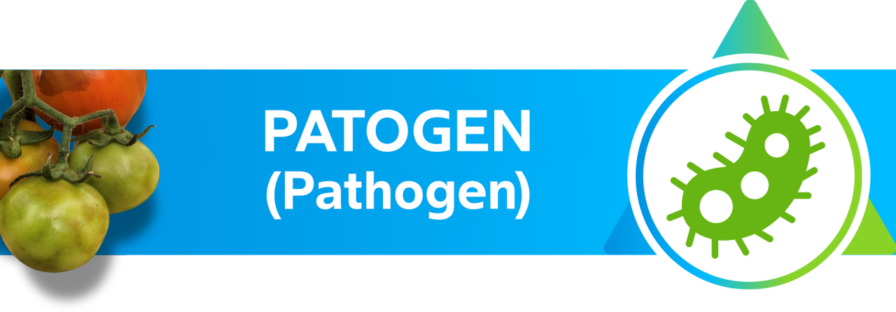 patogen