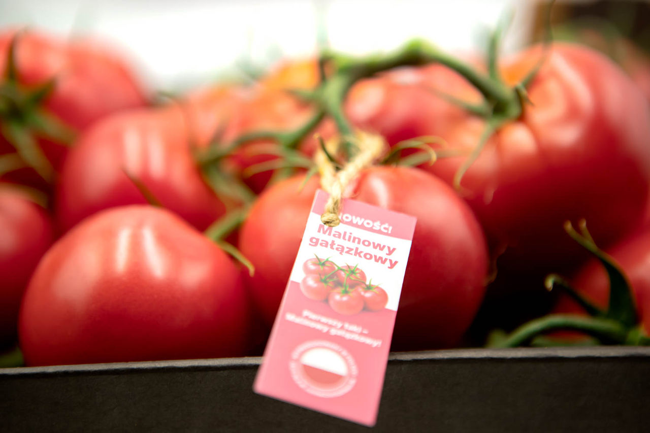 pomidory