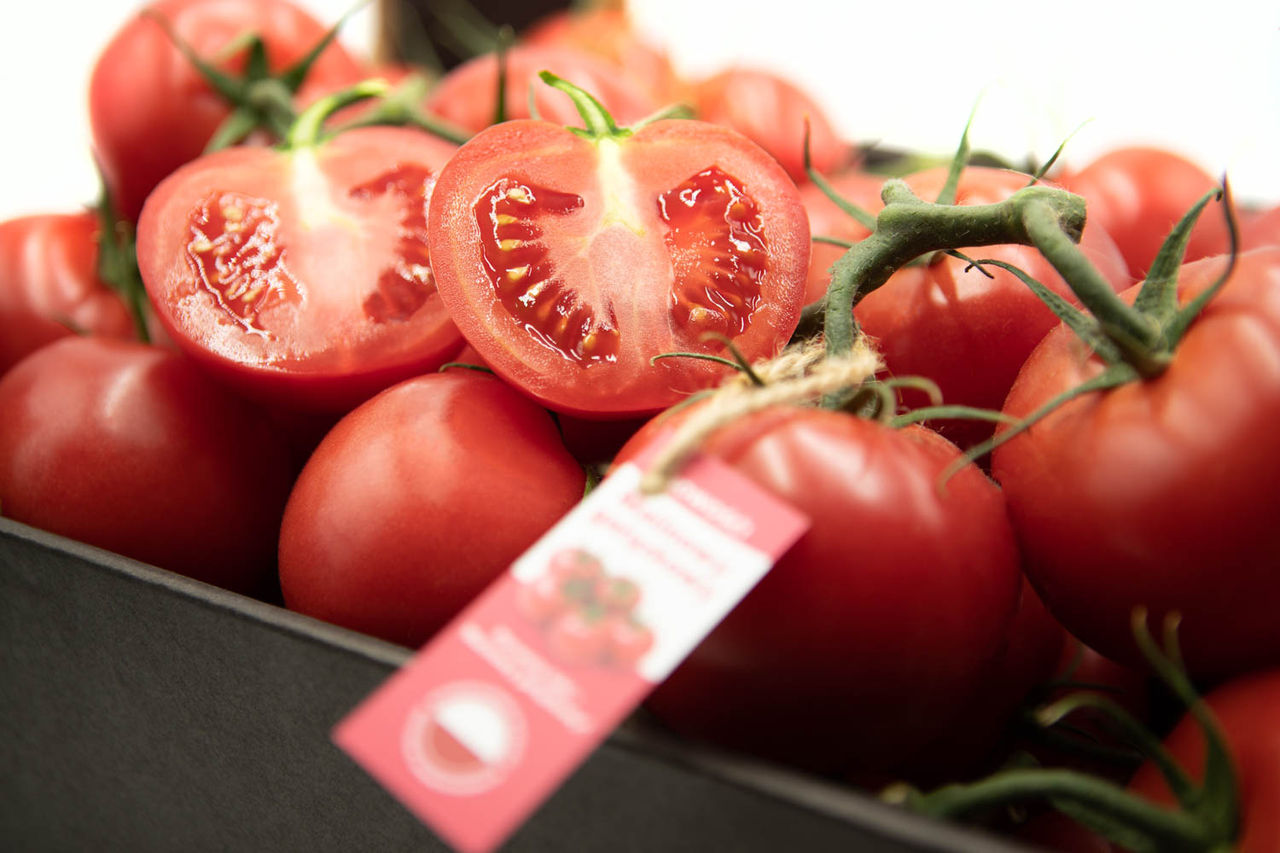 pomidory