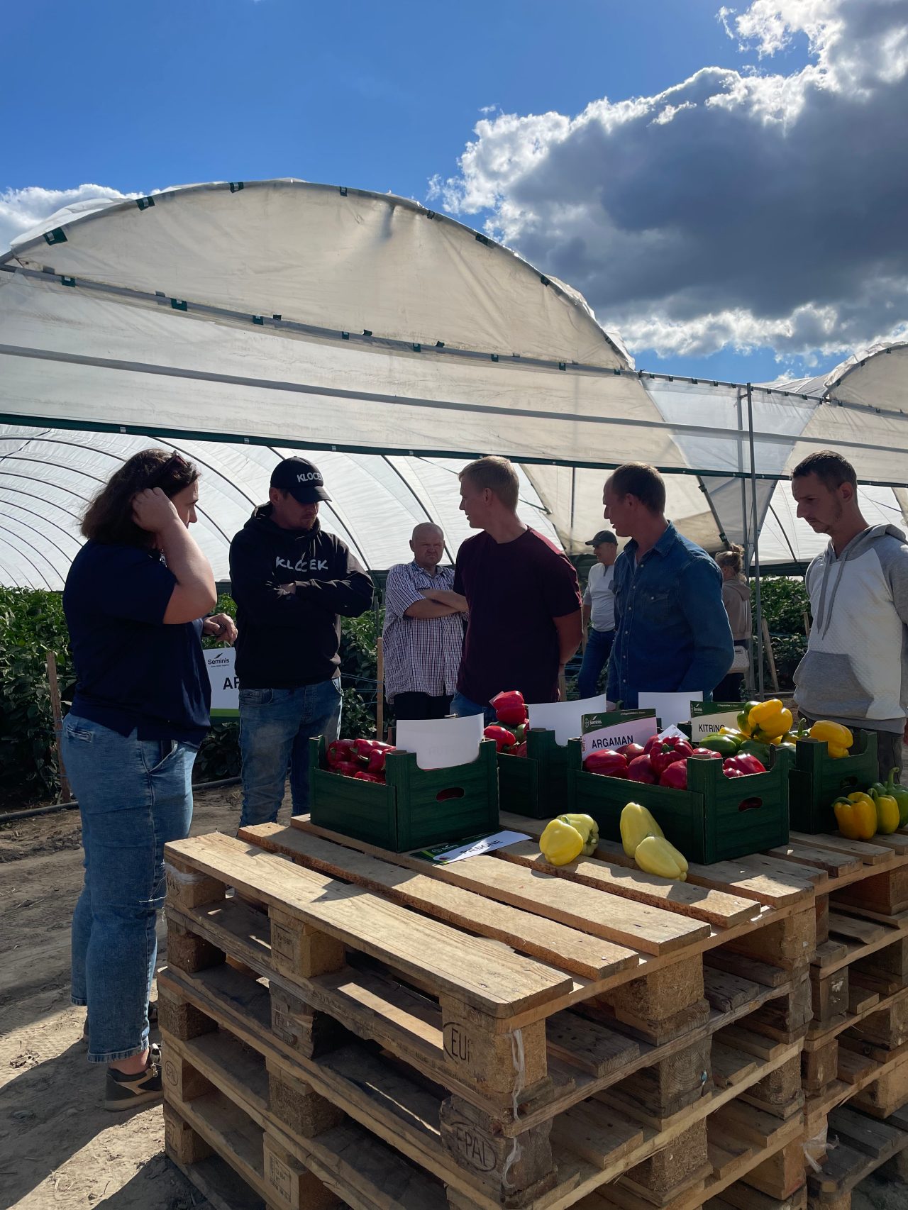 kolejni goście podczas prezentacji odmian z portfolio Seminis (Bayer Vegetables)