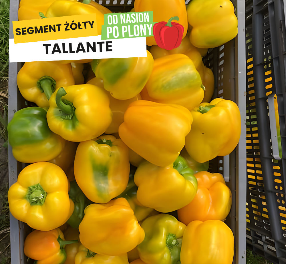 Tallante