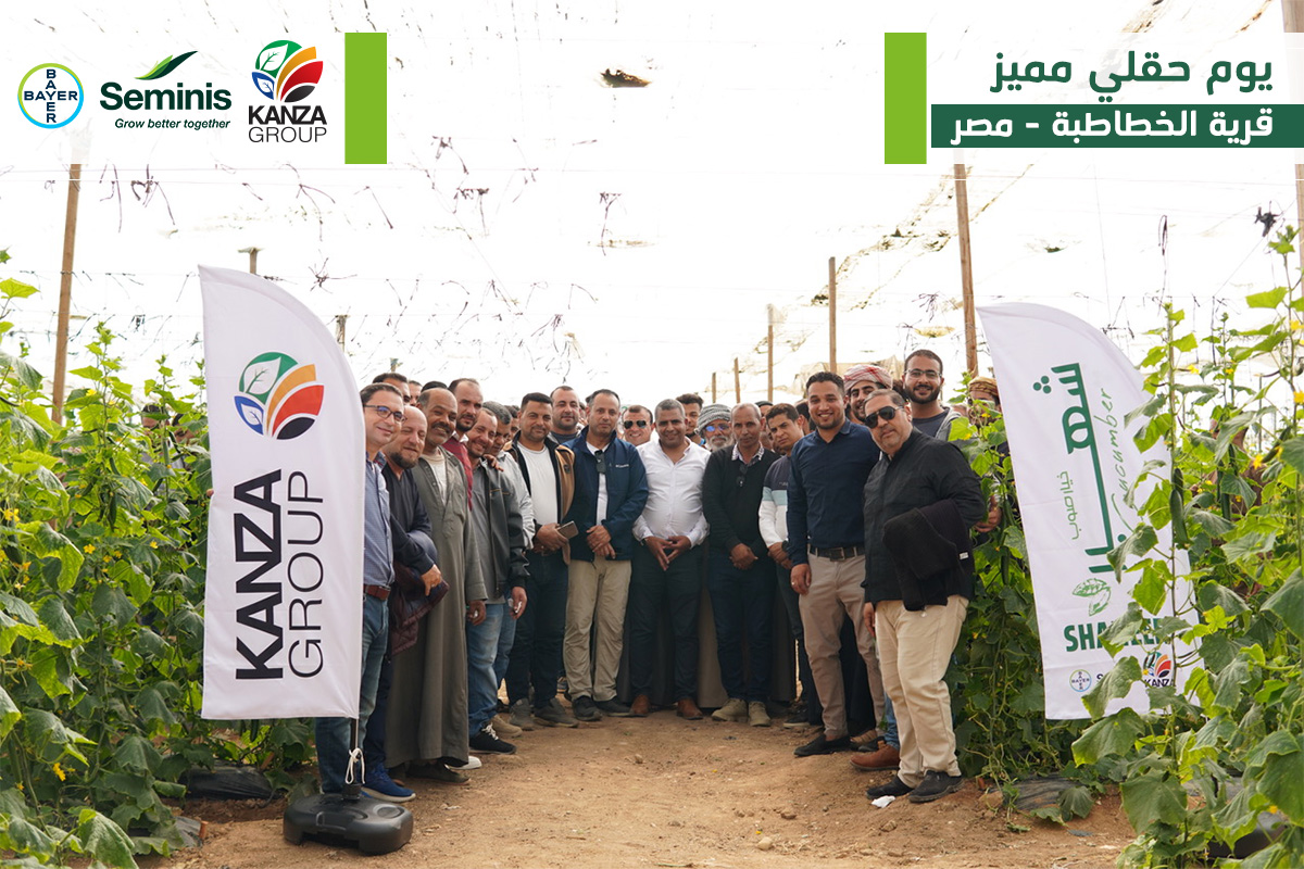 يوم حقلي مُميز لصنف خيار شهير