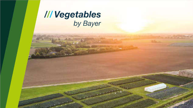 Vegetable Seeds; UK, Ireland & Nordics