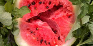 Watermelon with hollow heart.