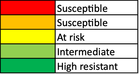 TABEL 1