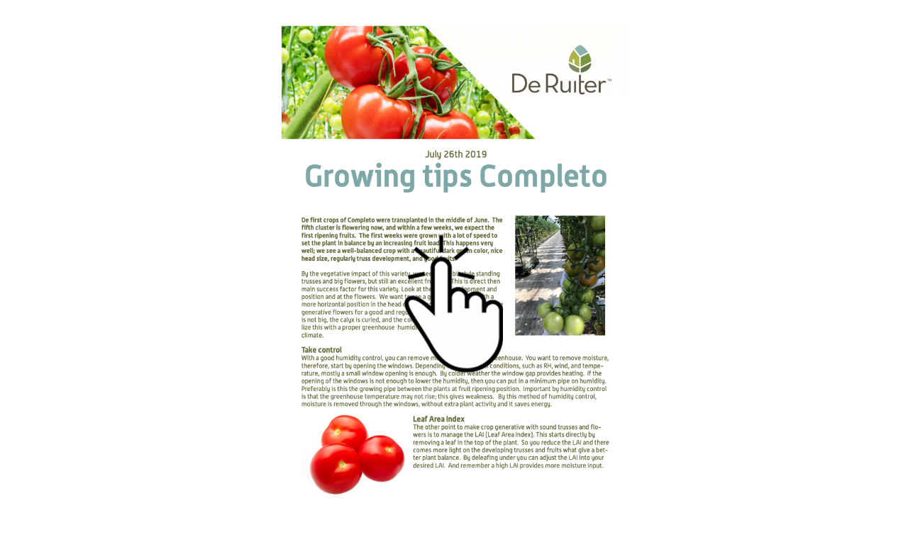 July Completo growing tips