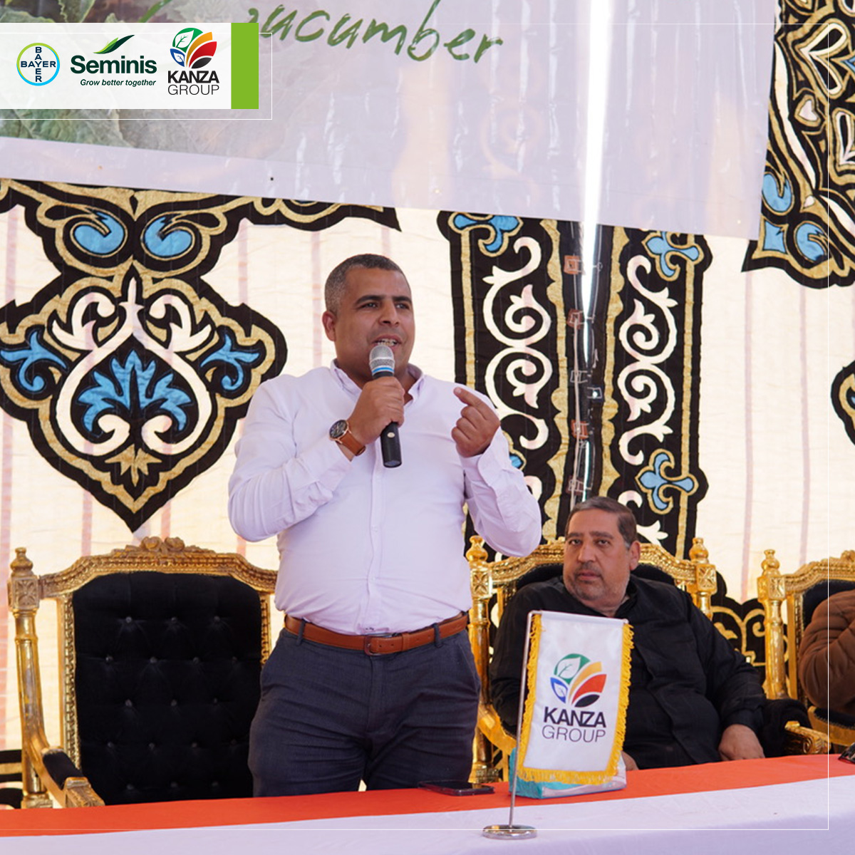 يوم حقلي مُميز لصنف خيار شهير