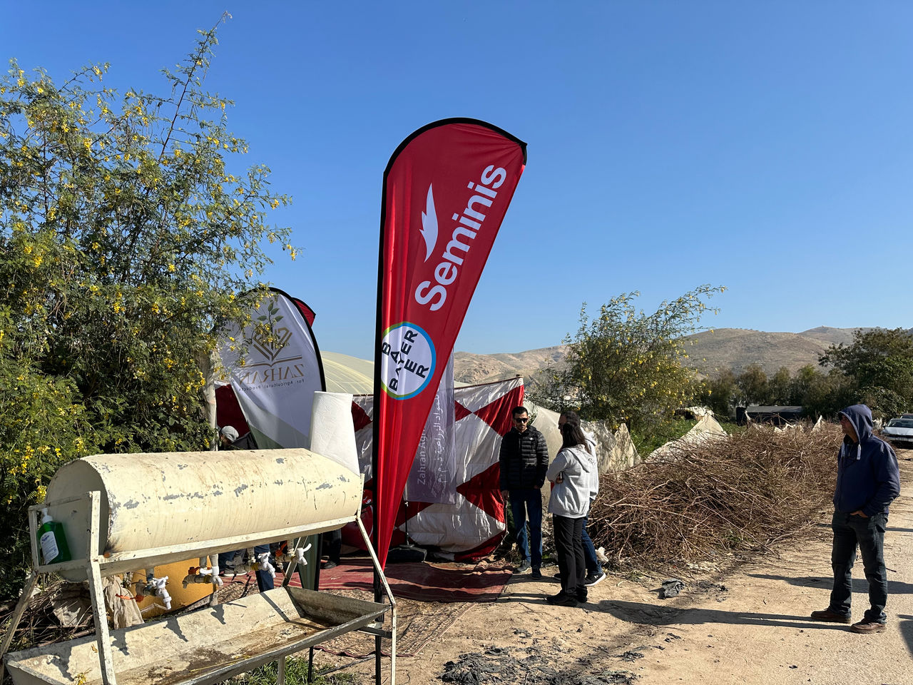 يوم حقلي لصنف الطماطم TVTH4040 في وادي الأردن