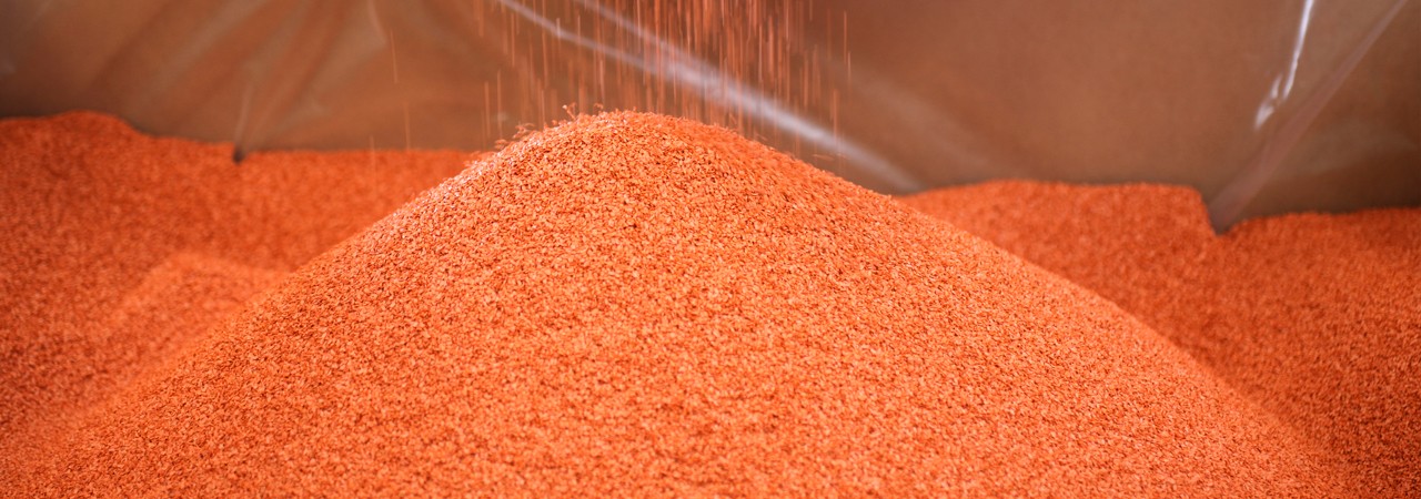 Sebze Yetiişiriciliğinde Tohum Islahı