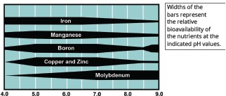 Figure 1. The effect of pH on the plant availability of six micronutrients.