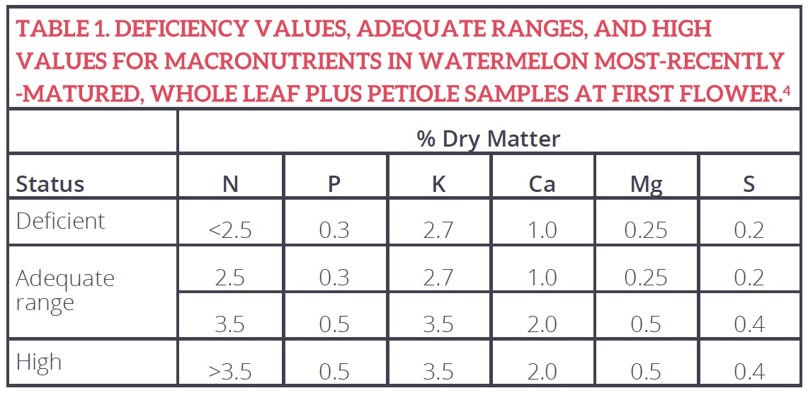 Table 1. Deficiency values, adequate ranges, and high values for macronutrients in watermelon most-recently-matured, whole leaf plus petiole samples at first flower.4