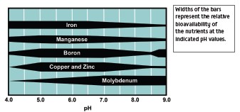 Figure 1. The effect of pH on the relative plant availability of six micronutrients.