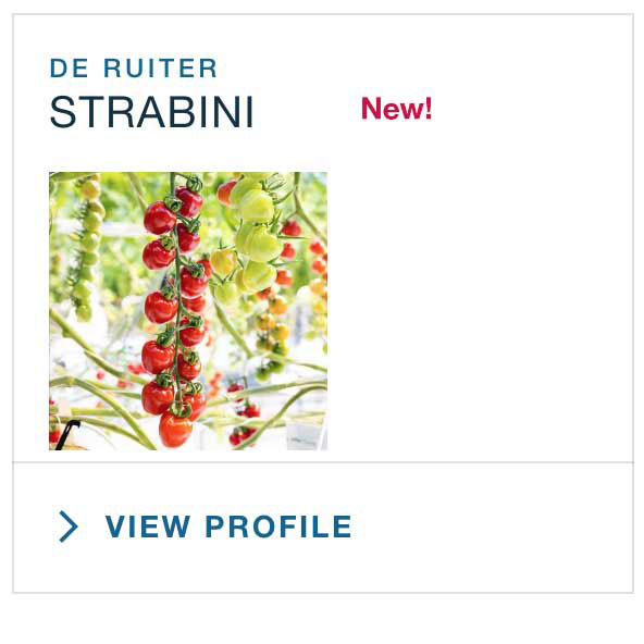Strabini product details