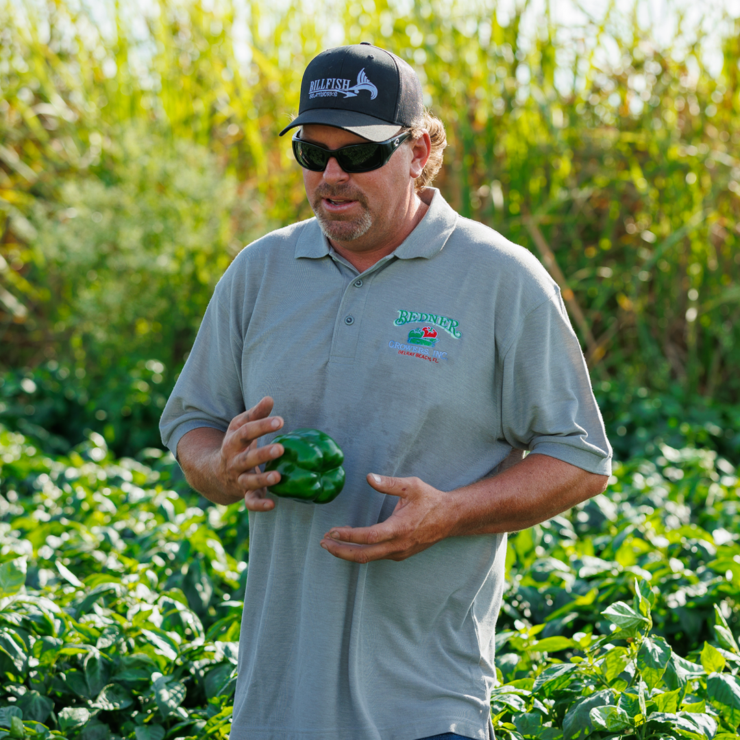 Roots: Bedner Growers