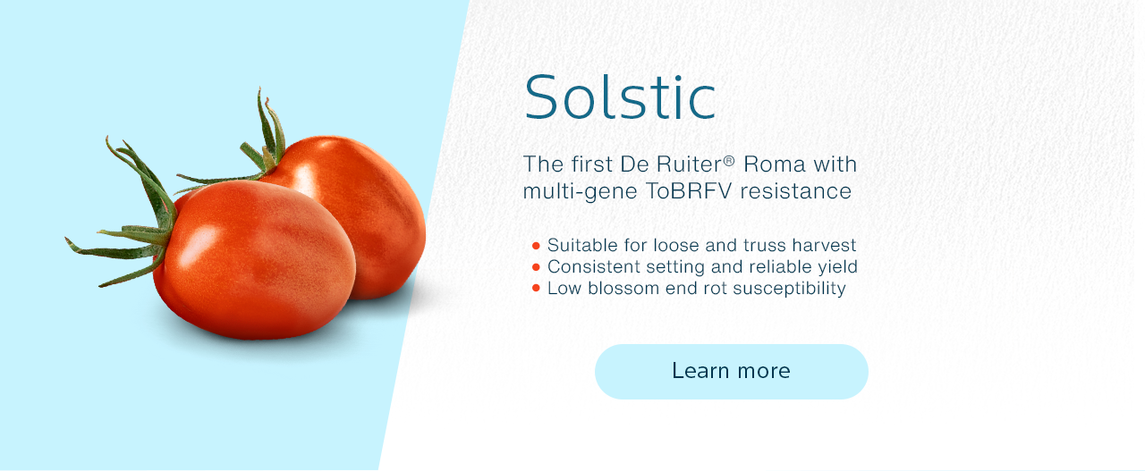 Solstic