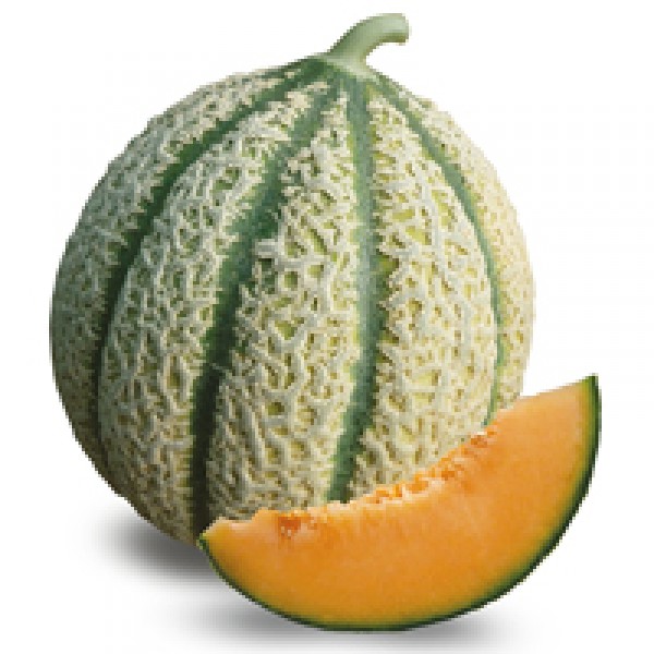 Melon