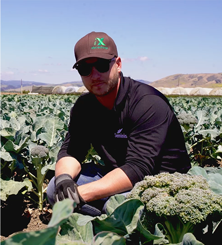 standard vs high varieties